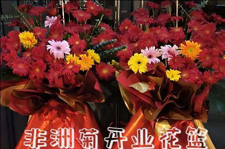 盐山县开业花篮